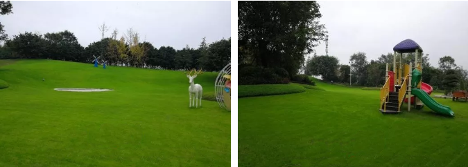 湖南完美体育生态环境建设有限公司,人造草坪假草皮,湖南雨水收集处理工艺