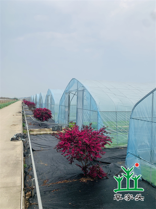 湖南完美体育生态环境建设有限公司,人造草坪假草皮,湖南雨水收集处理工艺