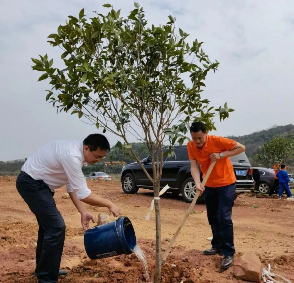 湖南完美体育生态环境建设有限公司,人造草坪假草皮,湖南雨水收集处理工艺